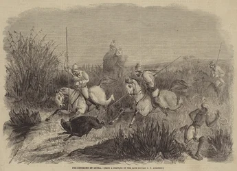 Pig-Sticking in India